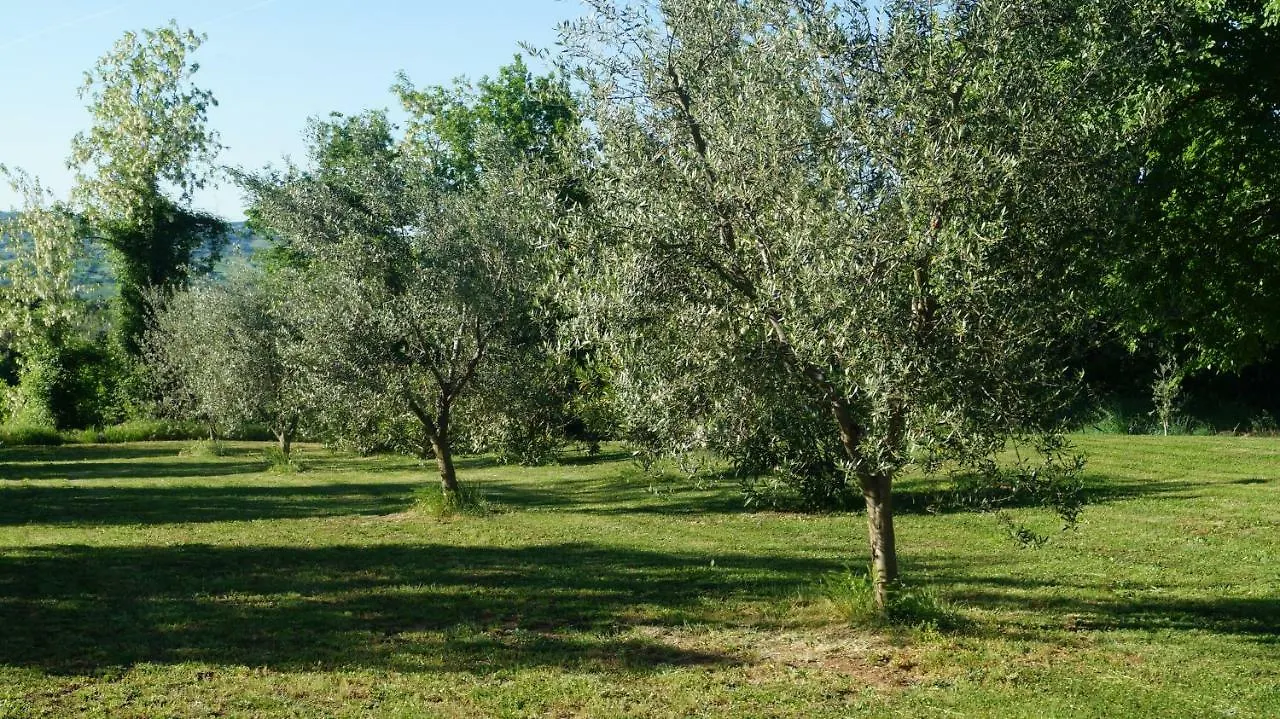 Agriturismo Poggio San Pietro Pitigliano 0*,  Italia